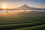 The Green Legacy of Japan: From Ancient Seeds to Matcha Mastery