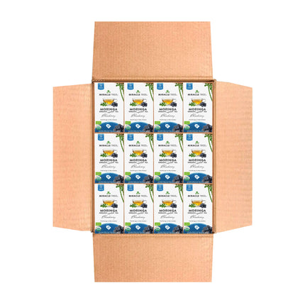The open cardboard box contains multiple packets of Miracle Tree Organic Moringa Tea, Blueberry, neatly arranged. Each packet displays a green tree logo and details the caffeine-free, superfood qualities of this organic tea in green and blue text on a white background.