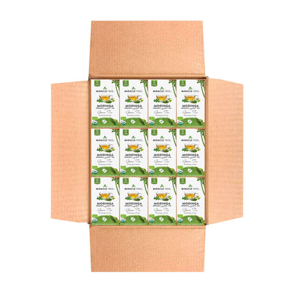 An inviting open box displays neatly arranged Organic Moringa Tea, Green Tea packets from Miracle Tree. The green and white packaging highlights the superfood experience with clear branding and product details.