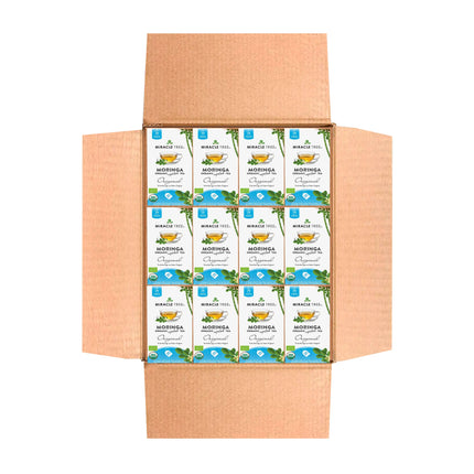 An open Miracle Tree box showcases multiple neatly arranged Organic Moringa Tea, Original boxes. They feature vibrant green leaves and detailed product info. The spread-open flaps highlight the elegant packaging design and natural essence of this renowned superfood.