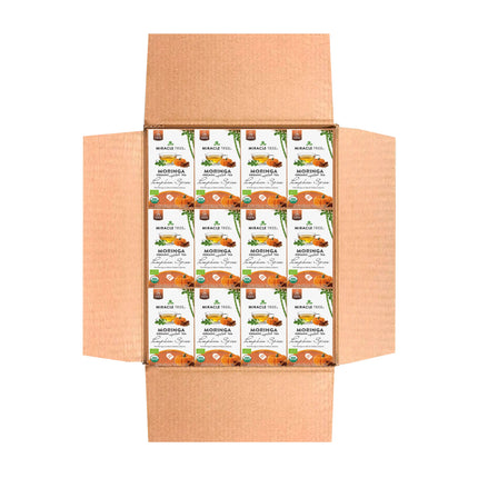 Open a cardboard box containing Miracle Trees Organic Moringa Tea in Pumpkin Spice, with packs featuring images of oranges and tea leaves that emphasize the caffeine-free, superfood benefits.