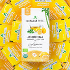 Pack of 12 (300 tea bags)