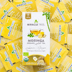 Pack of 12 (300 tea bags)