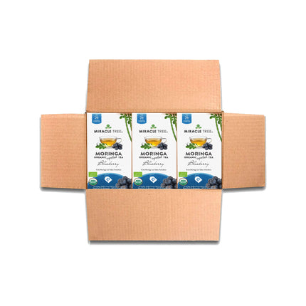 A cardboard box contains three boxes of Miracle Trees Organic Moringa Tea in blueberry flavor. These caffeine-free tea boxes are white, featuring a tea cup and blueberries amidst green leaves.