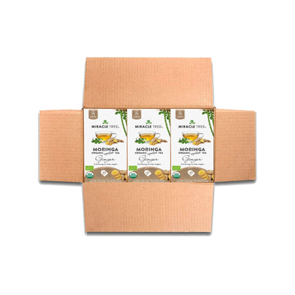 Open cardboard box with three Miracle Tree Organic Moringa Tea, Ginger packages, each showing a teacup with ginger and moringa leaves. This superfood tea is organic certified, caffeine-free, and contains 25 bags per box.