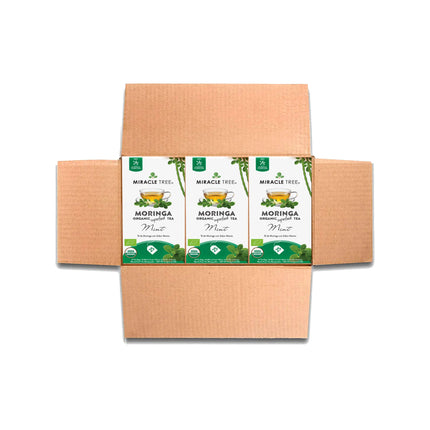 An open cardboard box contains three packets of Miracle Tree Organic Moringa Tea, Mint. Each packet features a green and white design with images of a teacup and moringa leaves. Enjoy this caffeine-free tea that blends taste and wellness perfectly.