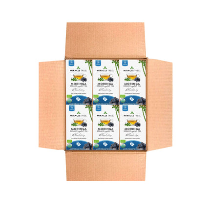 Organic Moringa Tea - Blueberry - Caffeine-Free Herbal Tea