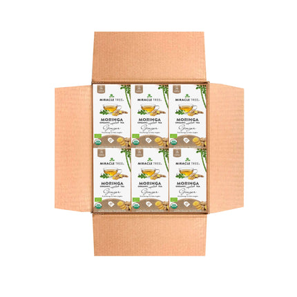 An open cardboard box contains packets of Miracle Trees Organic Moringa Tea, Ginger. Each packet features images of moringa leaves and ginger slices on a clean white background with organic labeling. Enjoy this naturally caffeine-free superfood tea.