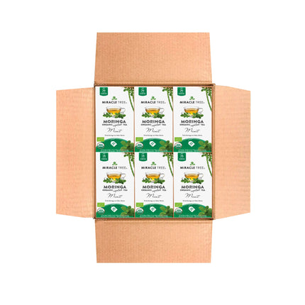 An open cardboard box reveals nine neatly arranged boxes of Miracle Trees Organic Moringa Tea, Mint flavor. With a green and white design featuring mint leaves and moringa images, this caffeine-free superfood tea is delightful.