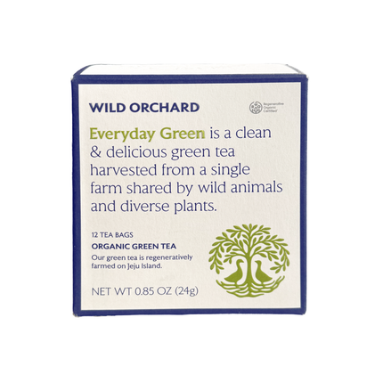 Everyday Green - Organic Green Tea Bag
