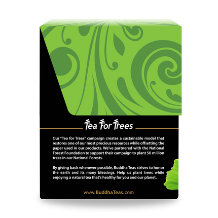 Ginkgo Biloba Tea