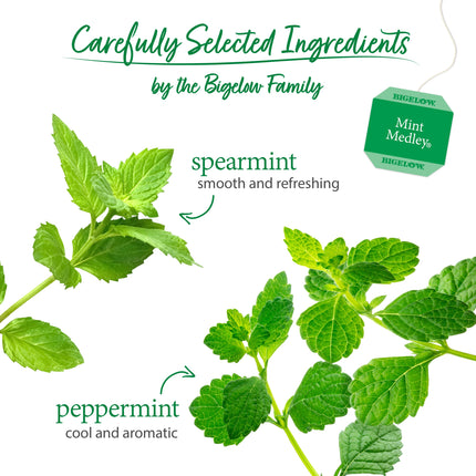 Carefully Selected Ingredients text with mint leaves and tea tag