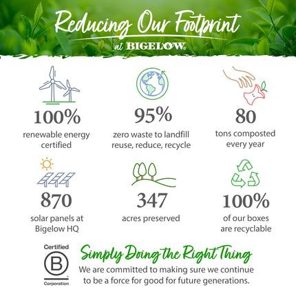 Brand messaging showing how we reduce footprint and why to be certified b